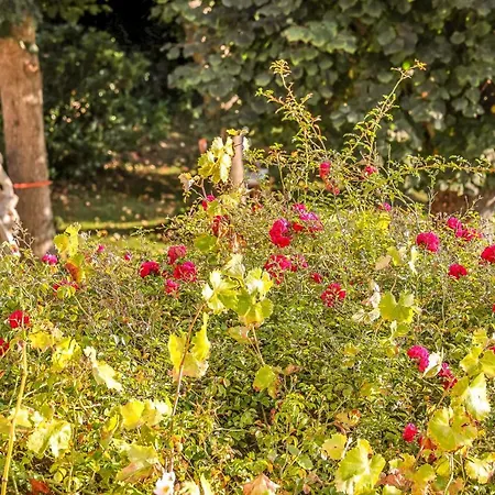 Les Sous Bois Gasthof Saint-Laurent-de-Brevedent