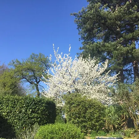 Les Sous Bois Casa de hóspedes Saint-Laurent-de-Brevedent