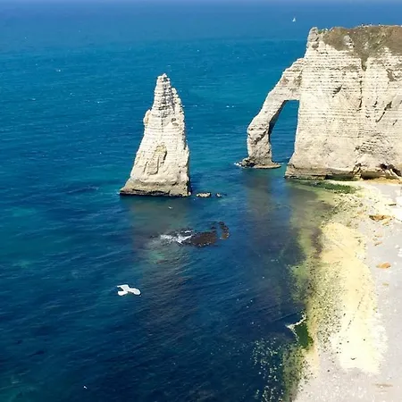 Les Sous Bois بيت ضيافة Saint-Laurent-de-Brevedent