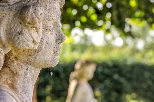 Les Sous Bois Affittacamere *