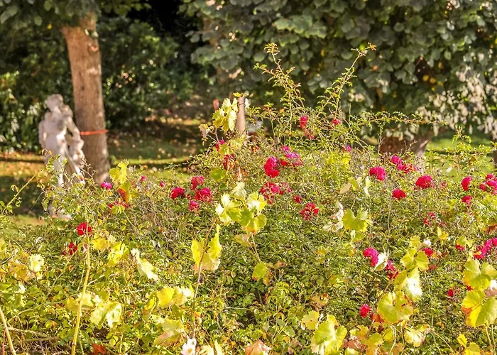 Les Sous Bois Affittacamere Saint-Laurent-de-Brevedent